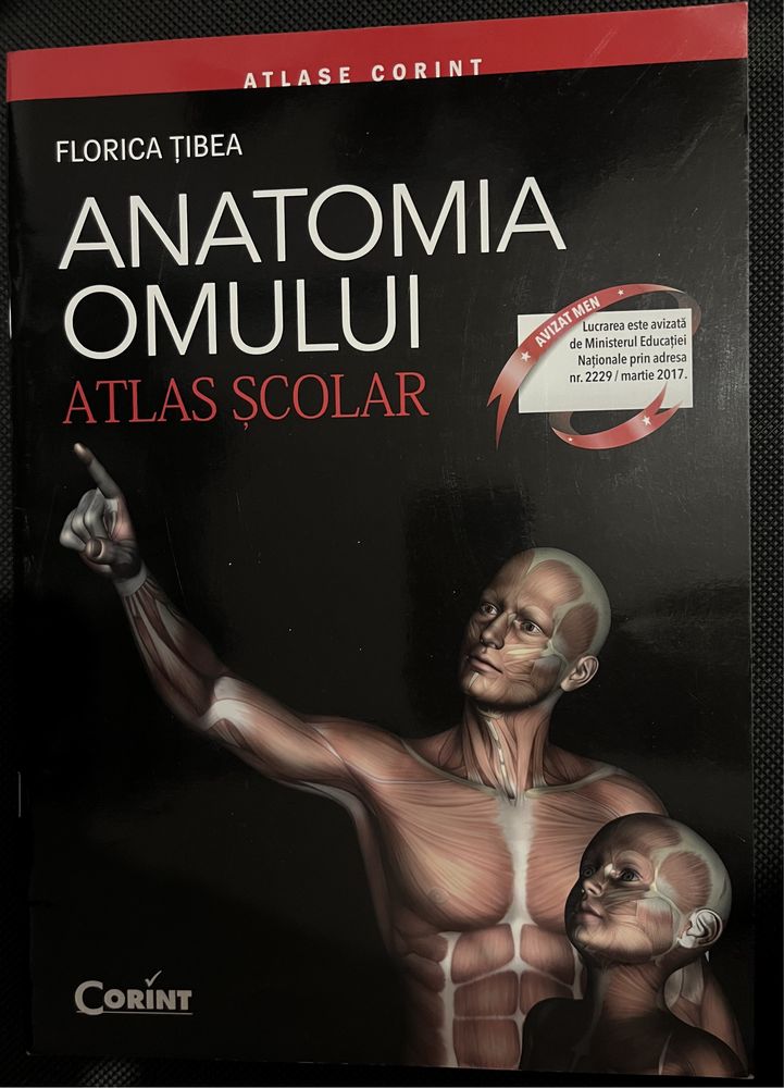 Atlas Anatomia omului editura Corint