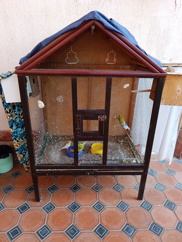 Qushlarimga kafolat beraman