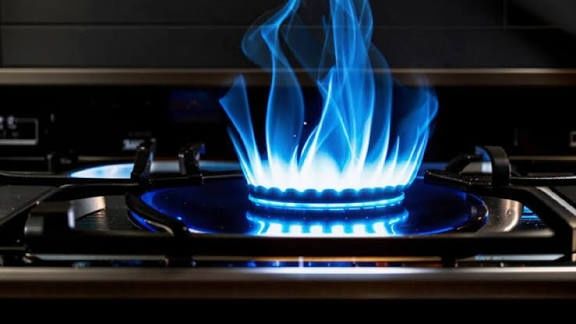 Газовик-ремонт газ плиты,котёл напольный,газовый аристон работаем 24/7