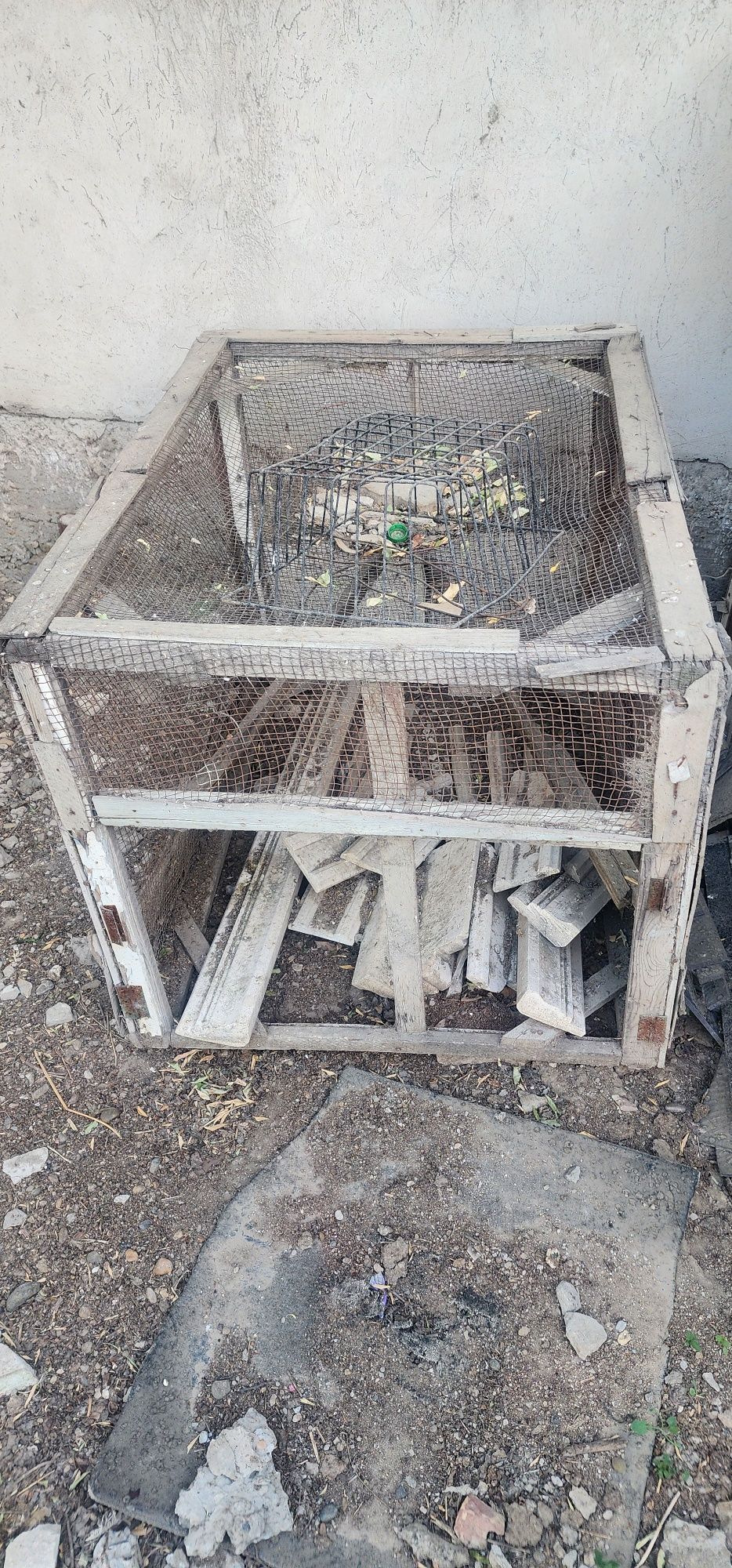 Juja katak sotiladi