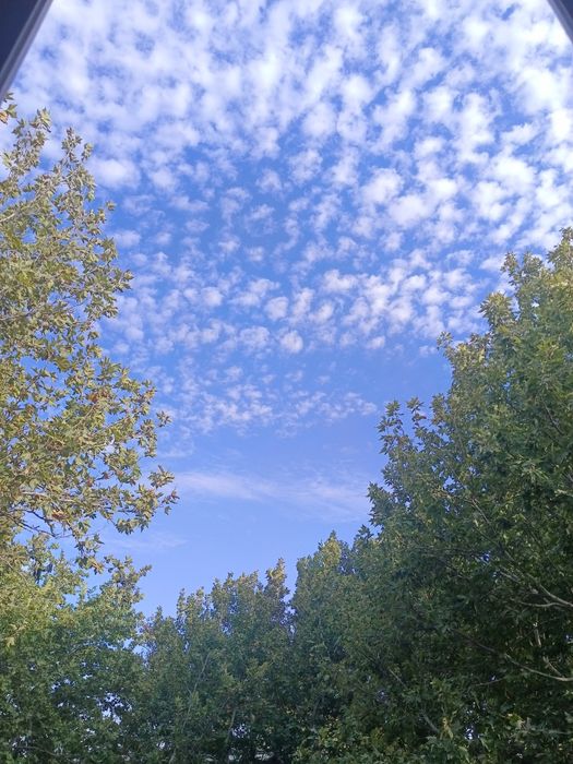 Продаётся Дача в Бричмуле-Яккатут