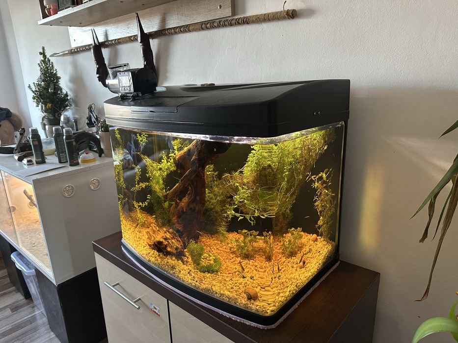 Vand acvariu curbat 100 litrii