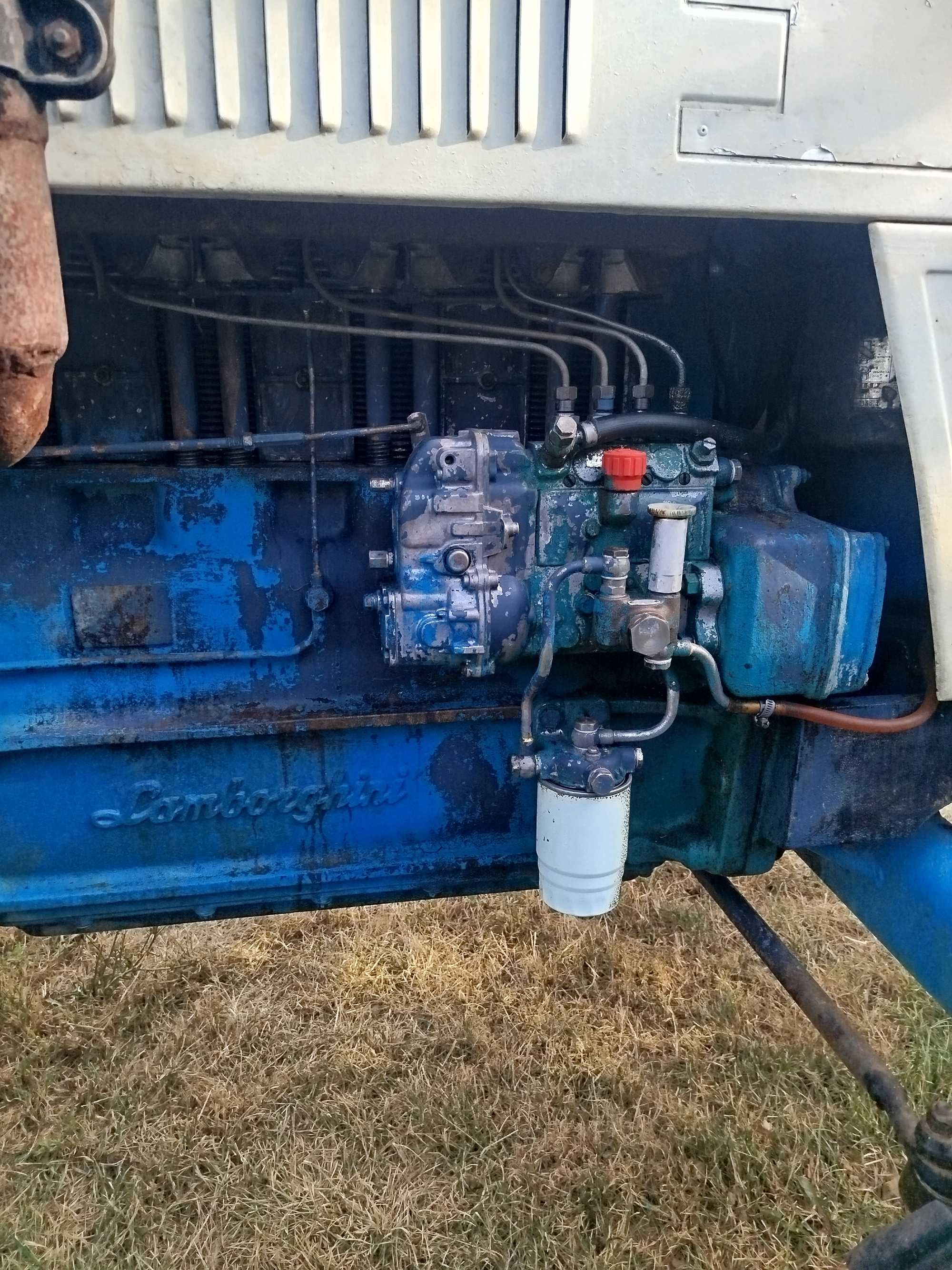 Tractor lamborghini 70 cai