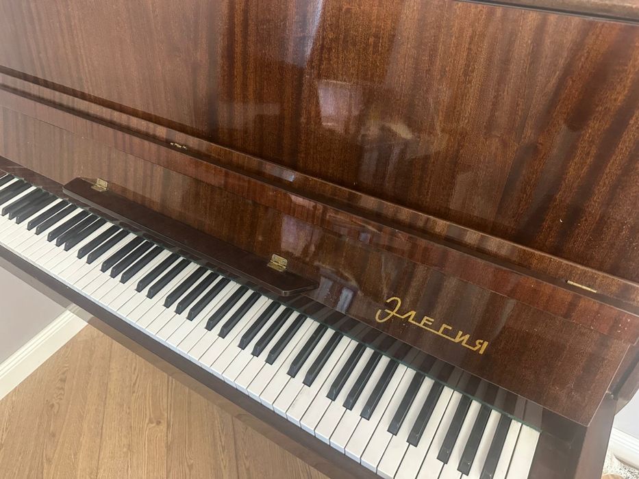 Пианино (фортепиано) Элегия