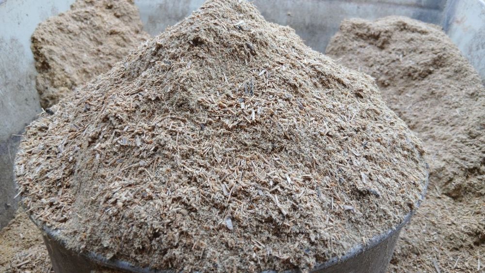 Мега семечка сотилади