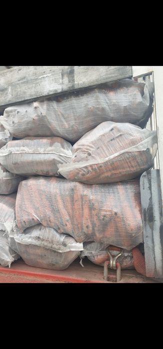 Morcov import  super calitate