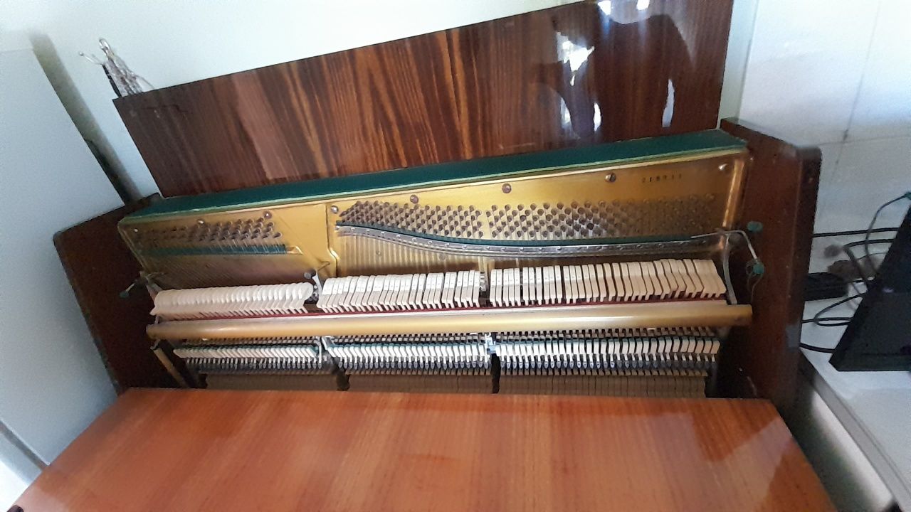 Pionina "lirika"