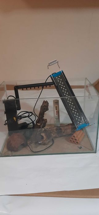 Acvariu betta 5 l si 25 l