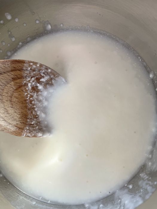 Ciuperca Tibetana pentru kefir