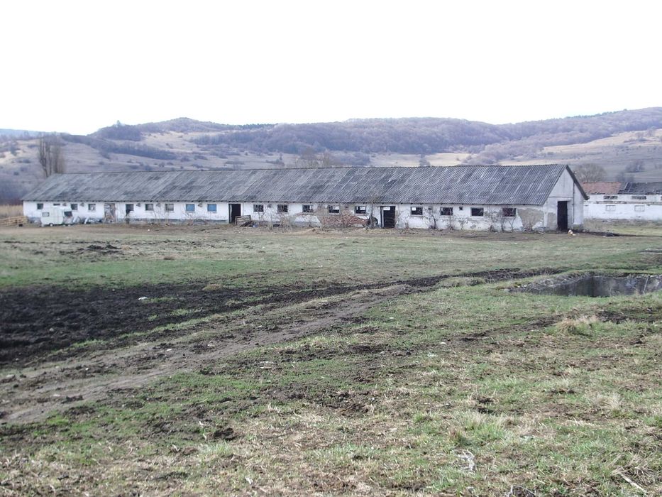 Ocazie!!!Vand grajd situat in Saschiz la Drumul E60 pret 36.000 euro.