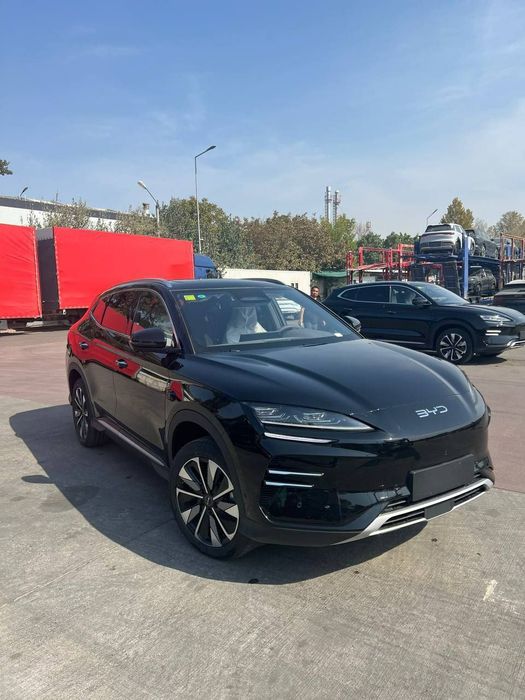 Byd champion smart bez probeg