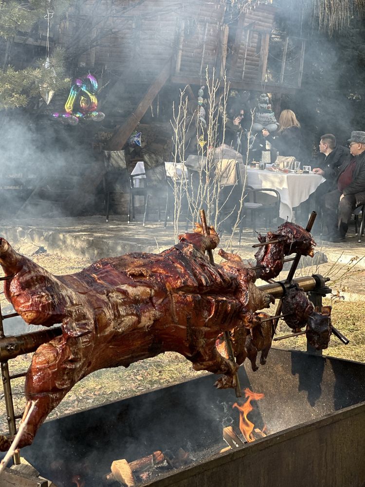 Porc facut la protap !