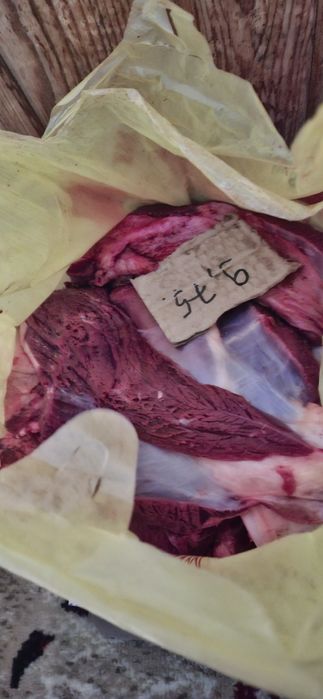 Продам мясо говядины телятина подсос в пакетах