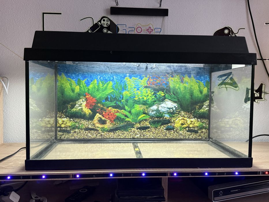 Acvariu pesti,în stare buna