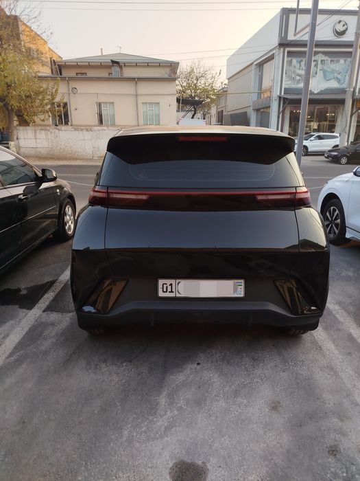 BYD SEAGULL 2024 yil