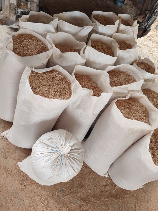 Rumegus de fag pentru afumat