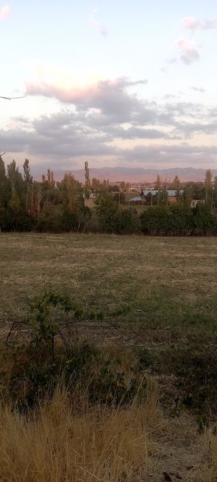 Продаётся земельный участок 35 соток с времянкой