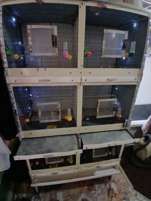 Клетка Валер  Капас кушла темрдон аценковкадан ясалгантемир ва аценков