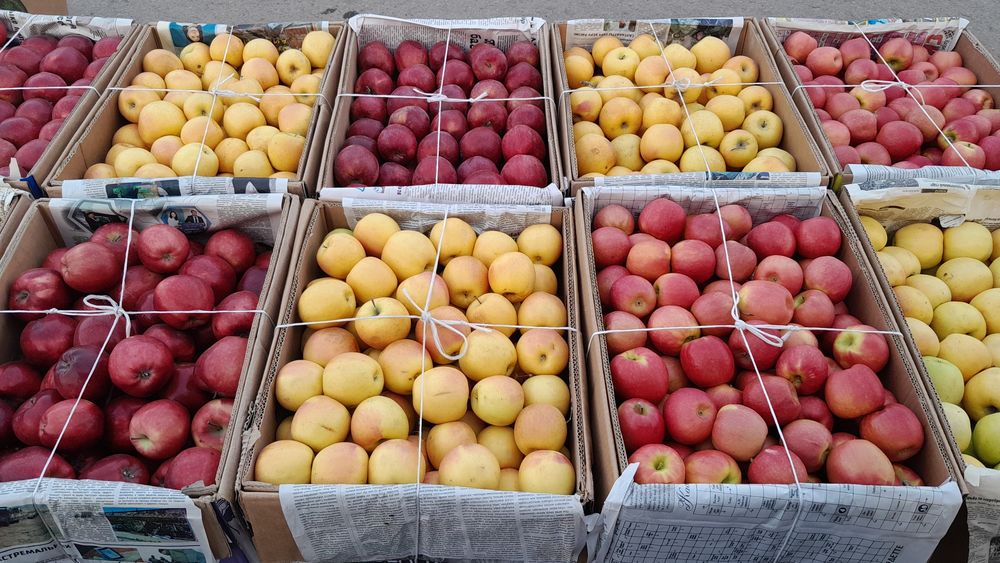 Алматынын. Алмалары