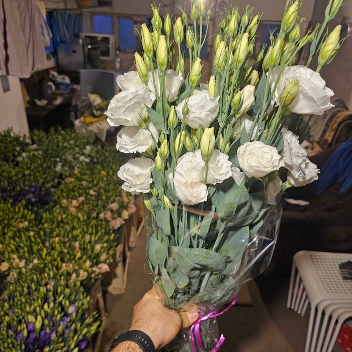 Lisianthus - flori en gross 5 culori