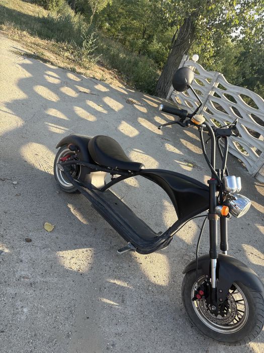 Vand scuteter electric chopper