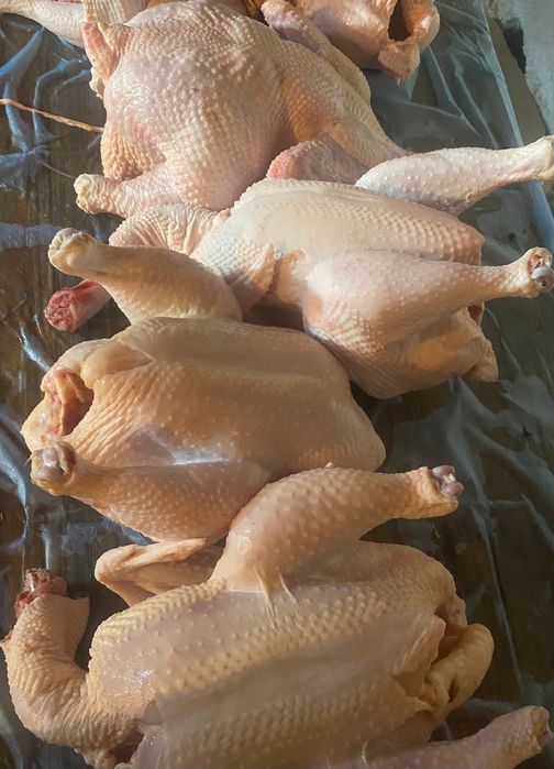 Продам домашние бройлеры
