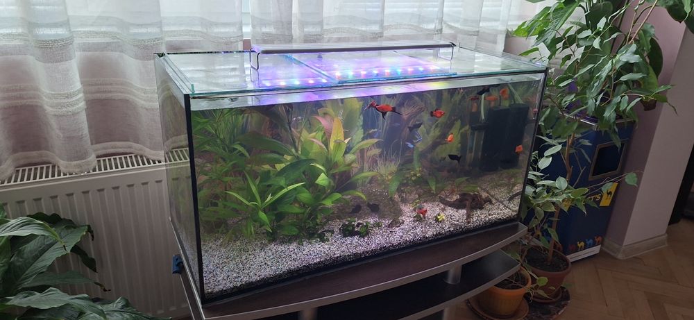 Аквариум 112л оборудван