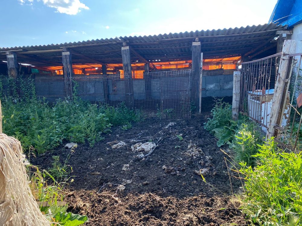 Продам дом Акколь