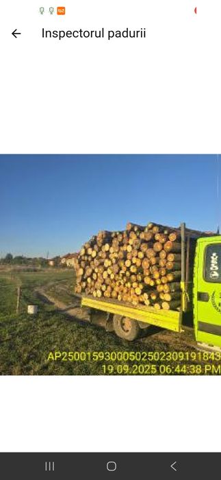 Stalpi de salcam,orice dimensiuni pt gard sau rustice