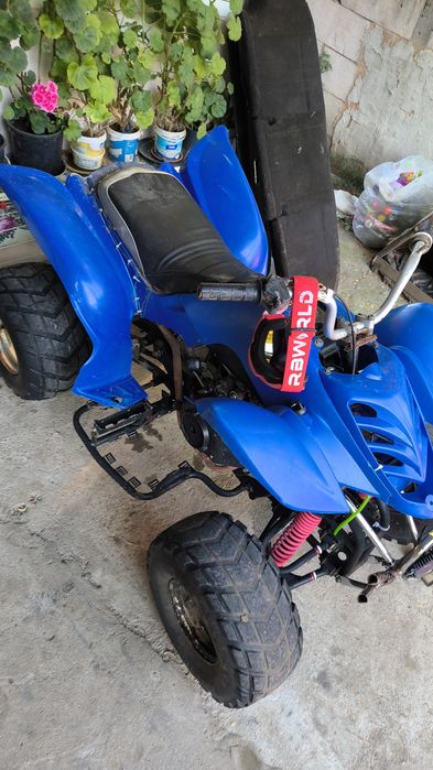 ATV 180cm  D N R Bashan