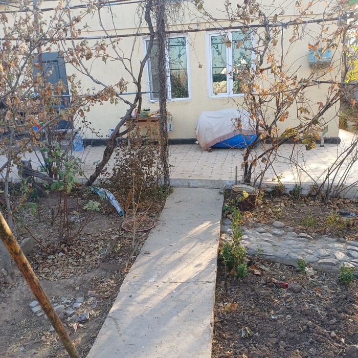 Дача майский поселок звездочка