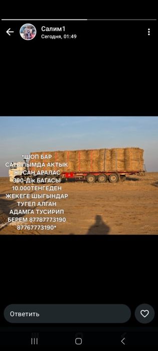 Актык жусан аралас шөп