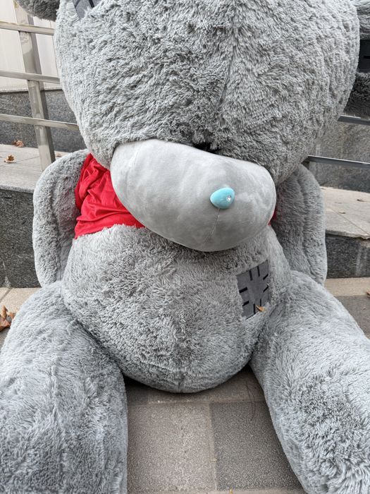 Ayiq | мишка | игрушка