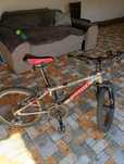 Bicicleta mountain bike wheeler