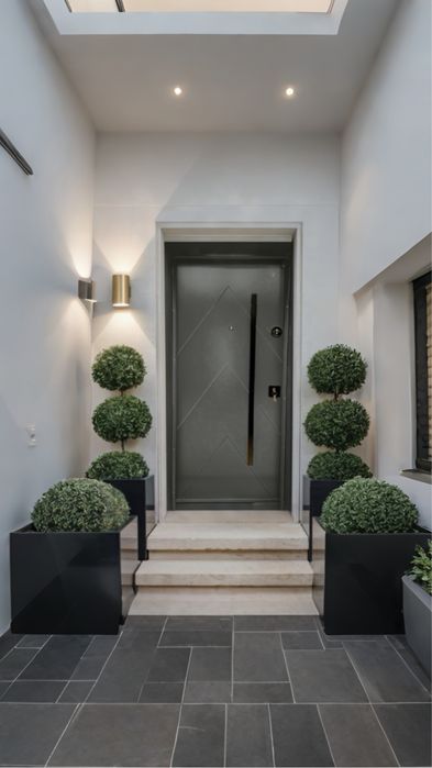 Входна врата за къща-GRAY REEF