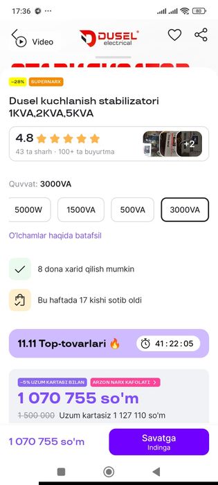 Dusel stabilazatori 3000va