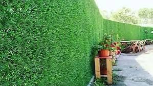 Gard paravan imitatie viu verde
