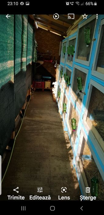 Custi iepuri modul de 3 bucăți.