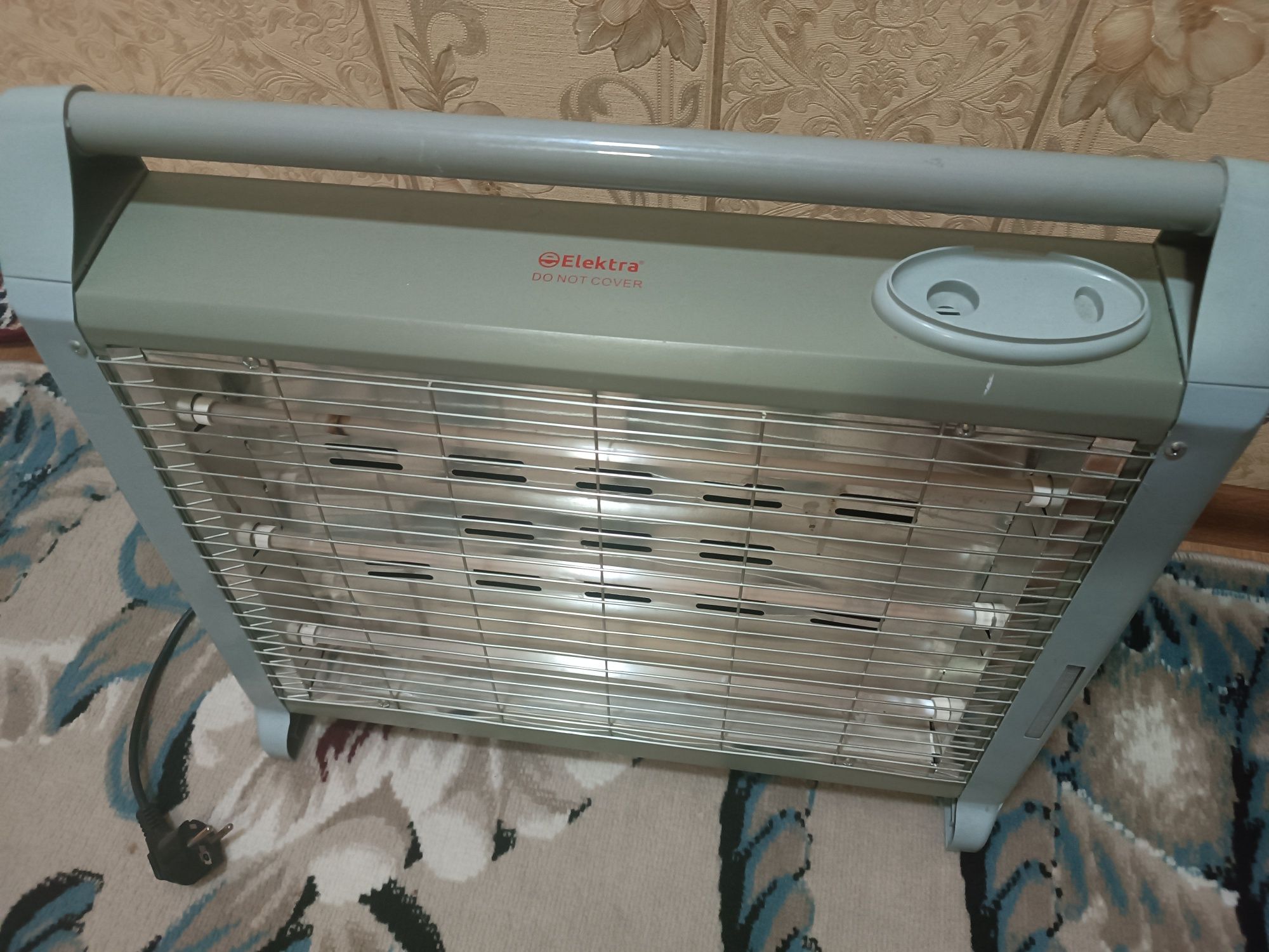 Elektro isitgich