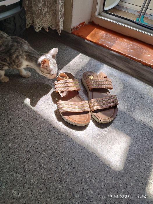 Сандали на резинке. По 1000