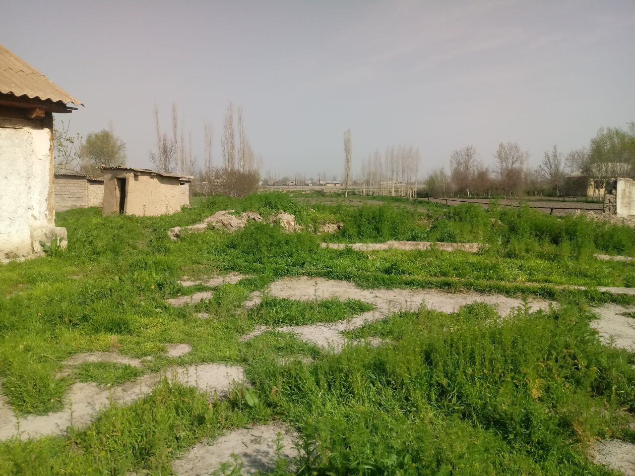 Несколько участков в ташкентской области