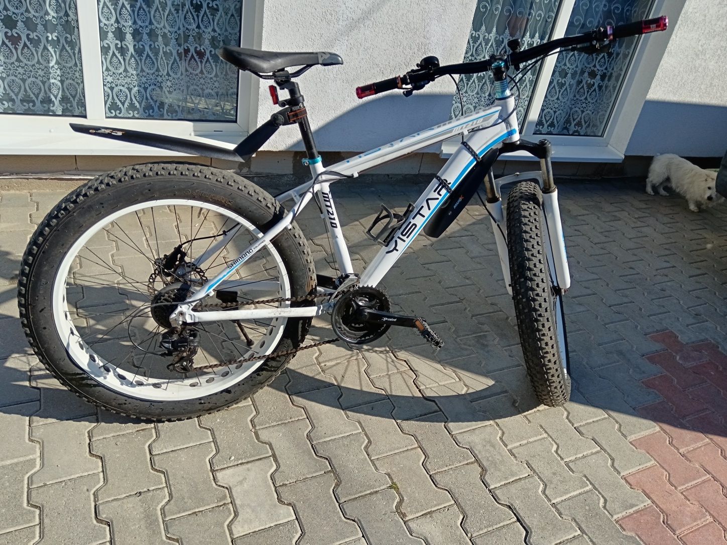 Bicicleta YSTAR MT 210