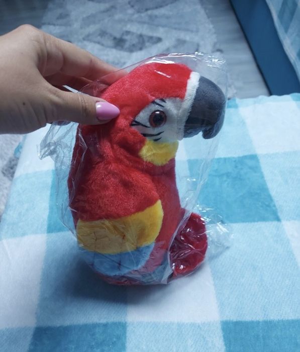 Papagal vorbitor nou