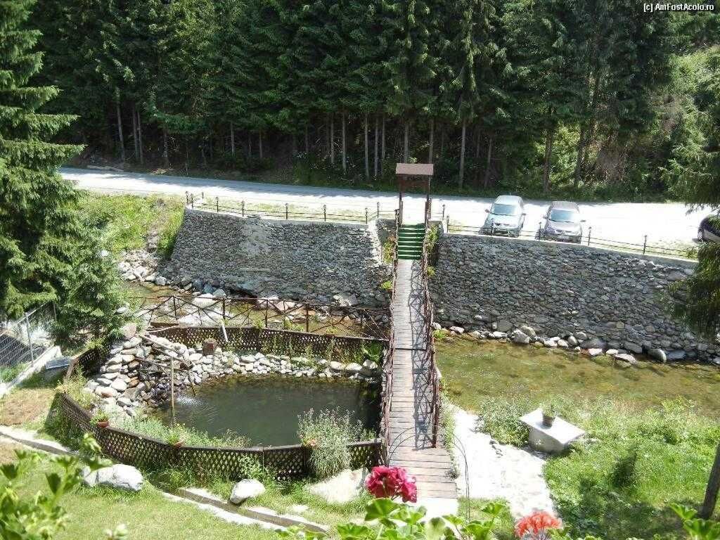 Vindem Pensiune Arieseni, Casa de Vis