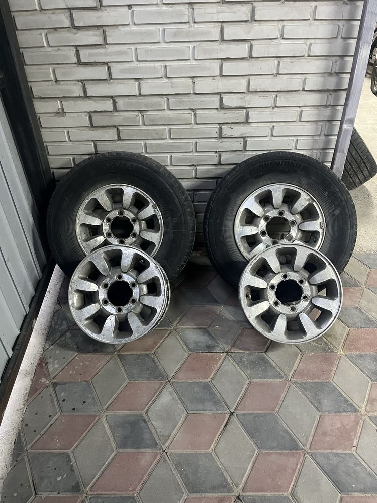 Диски и ризина.