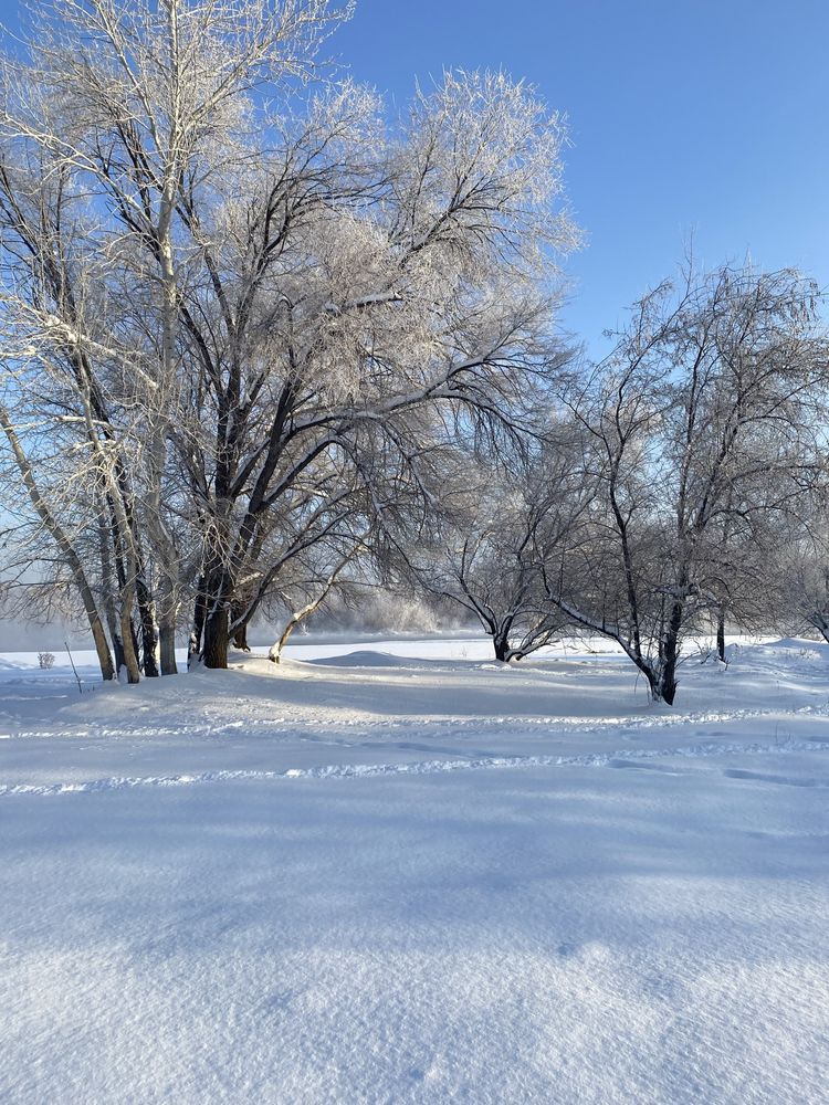 Аренда загородного домика