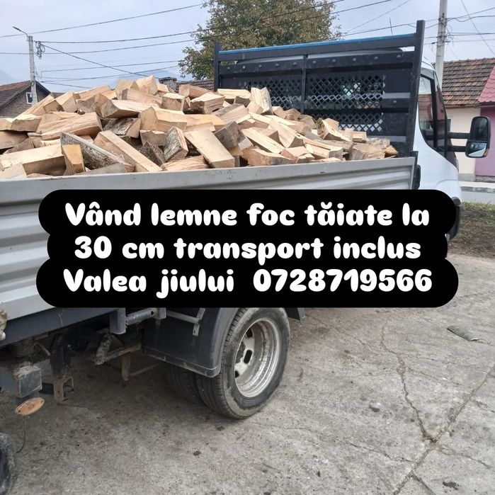 Vând lemne de foc fag