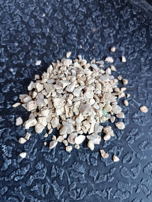 Чиґанок ракушка природный кальций