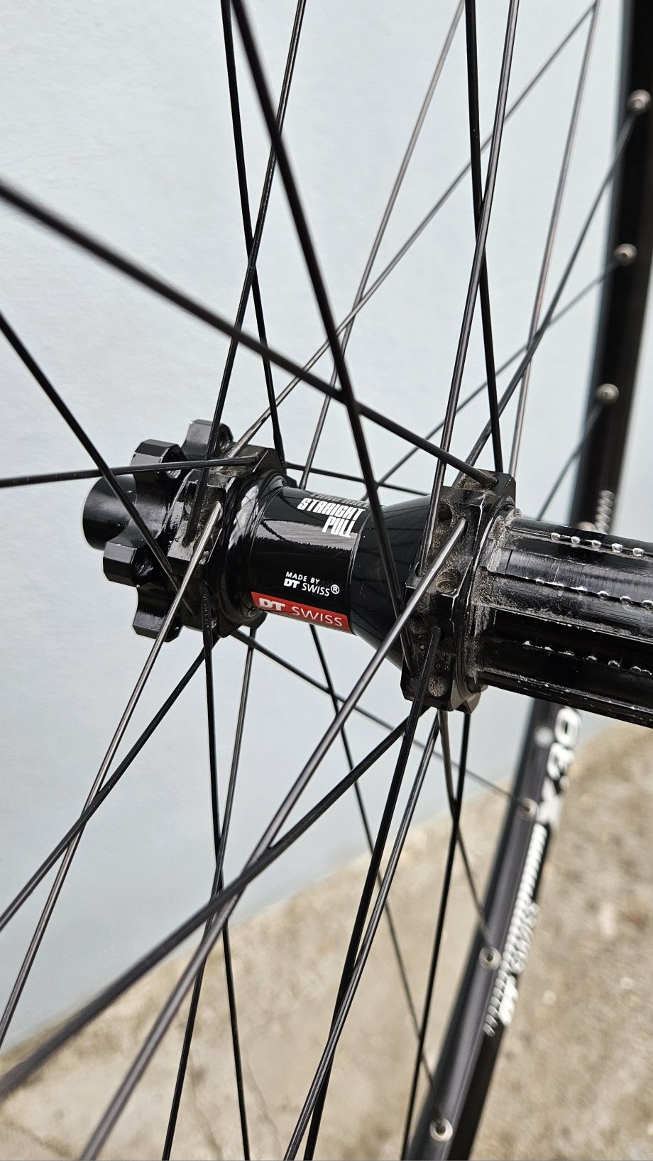 Roti 29 DT Swiss 370 Disc x392