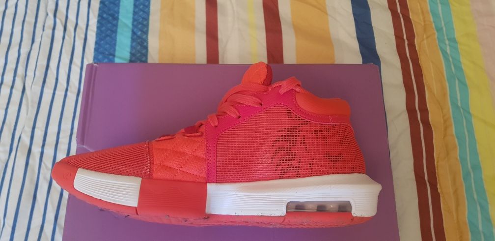 Nike Air Lebron James